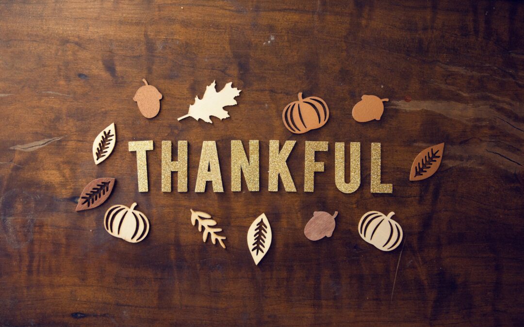 Gratitude: More than Thanksgiving?