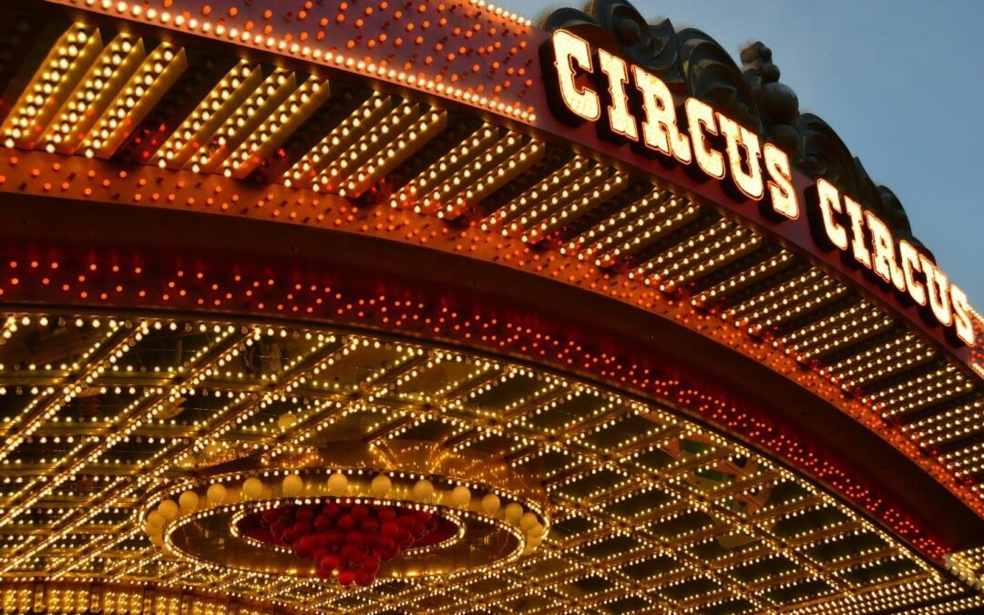 The Circus is in Town: A Great Time to Consider the Power of Contemplation