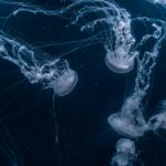 featured thumbnail for blog post